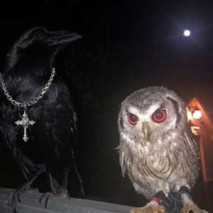 Meet your Posher, Hernan